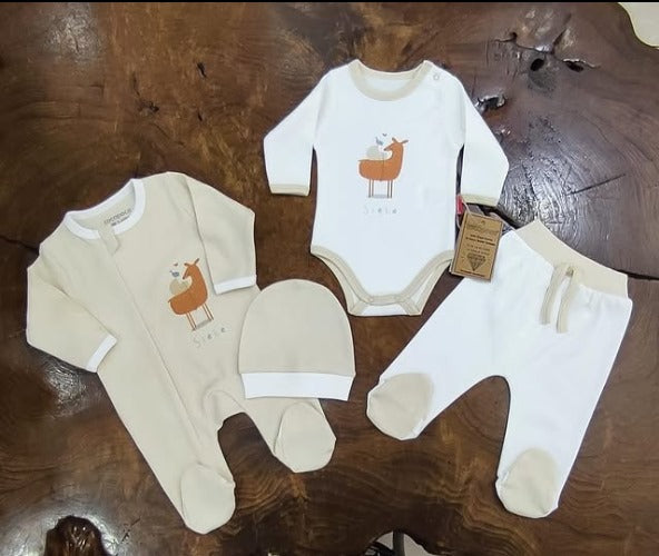 Organic Cotton Unisex Baby Clothes Set - Newborn 4-Piece Outfit